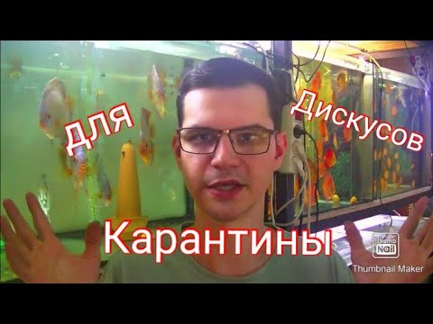 Видео: Повторение - мать учения. Карантин рыбы для покупателя