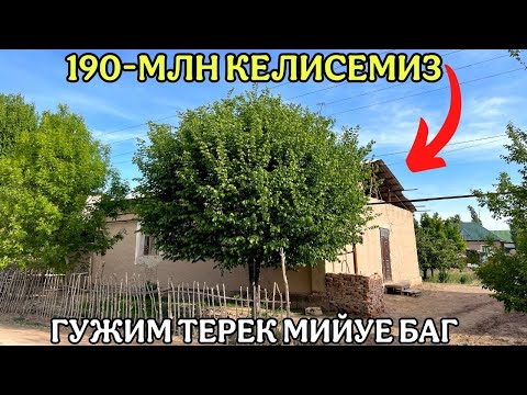 Видео: ШЫМБАЙ ХОЖАБЕК ПОВОРОТ АРЗАН ЖАЙ САТЫЛАДЫ/ЖАЙ САТЫЛАДЫ 2025