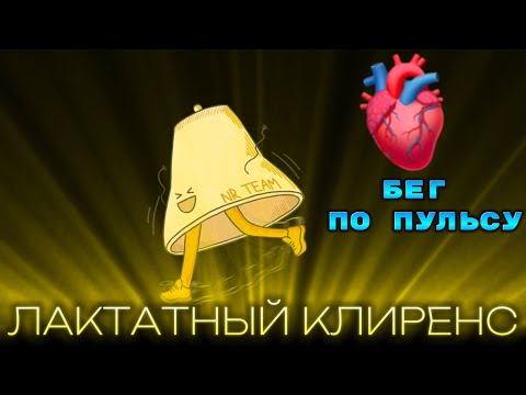Видео: А СИЛУЯНОВ ГОВОРИЛ‼️ утилизация лактата,бег по пульсу