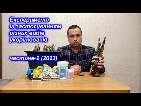 Видео: Експеримент із застосуванням різних видів укорінювачів ч-2