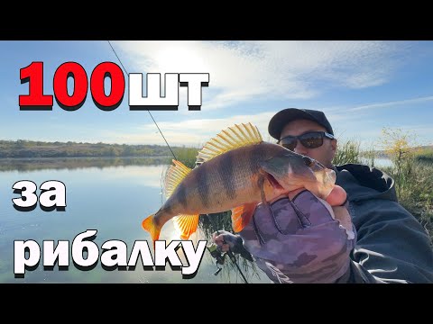 Видео: 100 окунів за риболовлю ЦЕ РЕАЛЬНО !! рибалка на ультралайт
