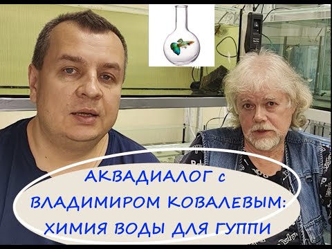 Видео: Аквадиалог с Владимиром Ковалевым: химия воды для гуппи