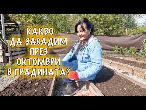 Видео: Какво да засадим през октомври? Как да предпазим новите растения от слана?