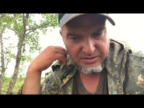 Видео: Про бои волкодавов