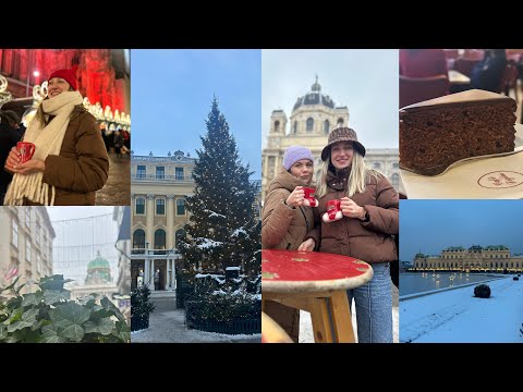 Видео: На Коледни базари във Виена 🎄