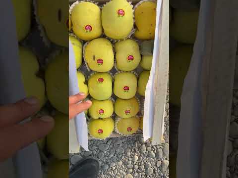 Видео: Олтиариқ узум бозори
