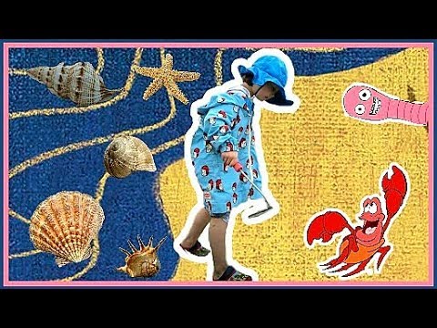 Видео: Семейные развлечения в Корее! Охота на моллюсков ;)