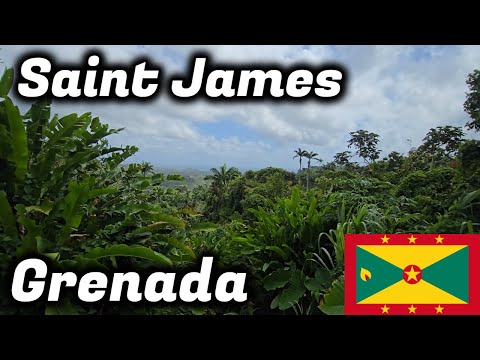 Видео: Живописная утренняя экскурсия по Сент-Джеймсу, Сент-Эндрю, Гренада