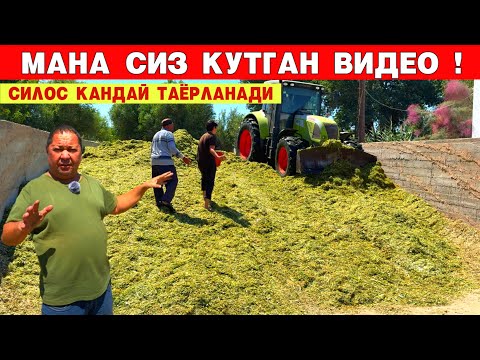 Видео: СИЛОС КАНДАЙ ТАЁРЛАНАДИ СИЗ КУТГАН ВИДЕО !!! ОПТОМ СИЛОС СОТИЛАДИ ХОРАЗМ БОЗОР