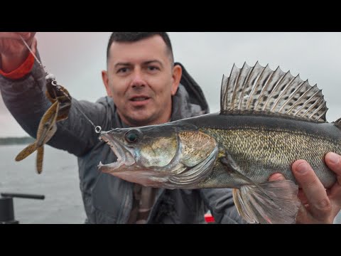 Видео: СУДАКИ ДУРЕЮТ ОТ ЭТОЙ РЕЗИНЫ! ТАСКАЮ СУДАКОВ НА ПРЕЗЕРВАТИВ! Рыбалка на спиннинг 2023.
