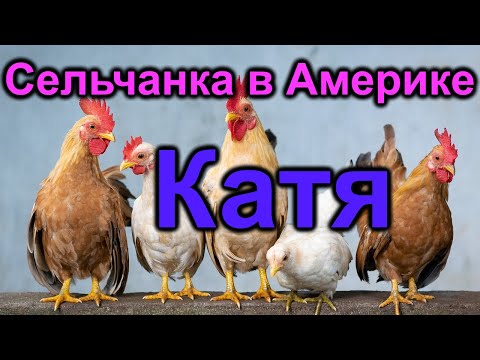 Видео: Сельчанка в Америке.Катя