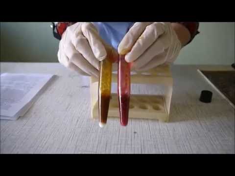 Видео: Идентификация  и фальсификация молока сырого