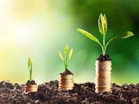 Видео: Как получить ДОХОД на РАСТЕНИЯХ.