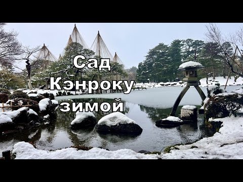 Видео: Сад Кэнроку зимой