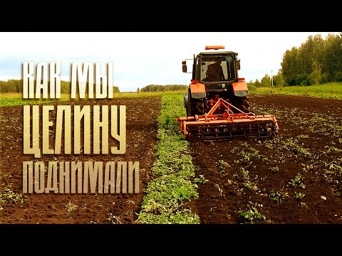 Видео: Как мы целину поднимали | Фермерский рассказ | #чеснок #farming #деревня #сельскоехозяйство
