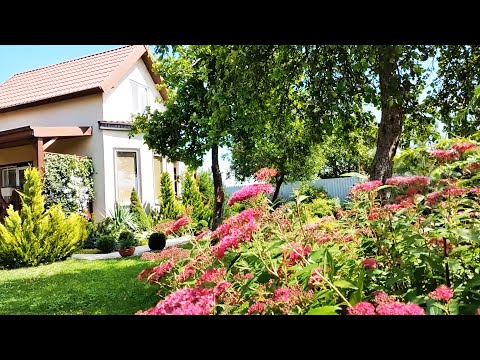 Видео: Как РАЗМЕСТИТЬ на Двух Сотках СОВРЕМЕННЫЙ, УДОБНЫЙ Огород. Урожай. Июль #огород #теплица #урожай