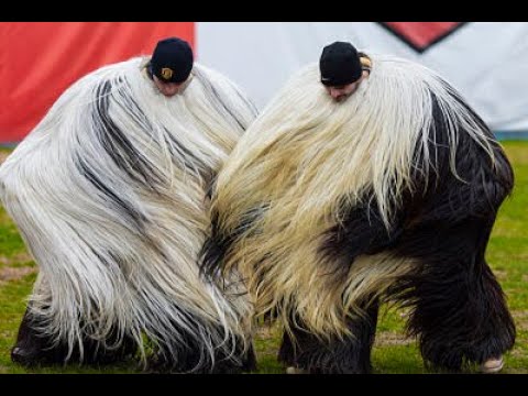 Видео: Бачево - "Симитлия   Древната Земя на Кукерите 2020"