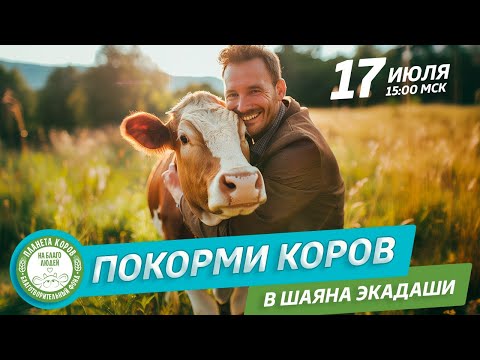 Видео: Кормление коров онлайн в день Шаяна Экадаши