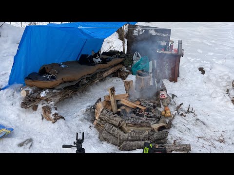 Видео: Один в зимнем лесу в -35. Ночевка в лесу. Лесной шалаш. Тайга. Уехал с хаской в лес….