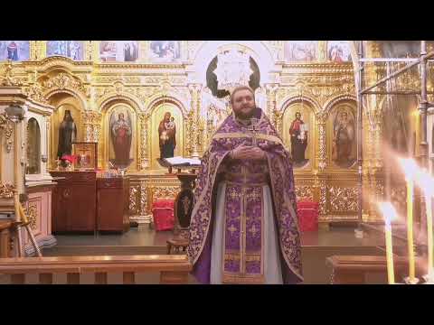 Видео: МИССИЯ УЧИТЕЛЯ. Отец Савва (Мажуко)