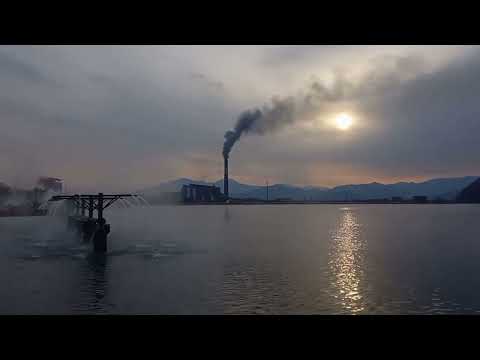 Видео: Посёлок Лозовый.Год спустя.