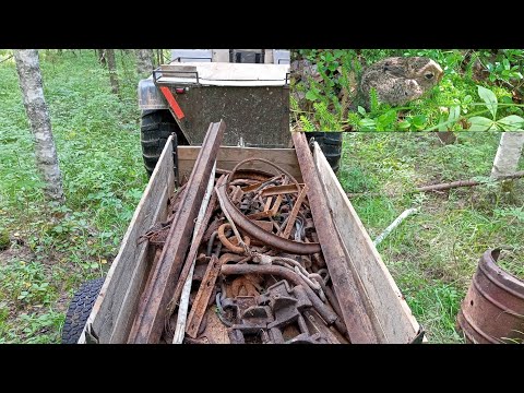 Видео: Съездил в лес, встретил по дороге живность. Металлокоп. Каракат