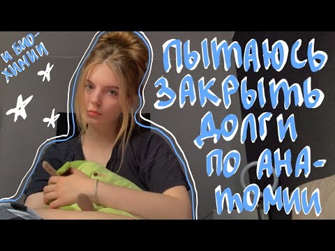 Видео: ✮⋆˙пытаюсь закрыть все долги и не чокнуться || сессия в медицинском🫧 #vlog #study #сессия #учеба