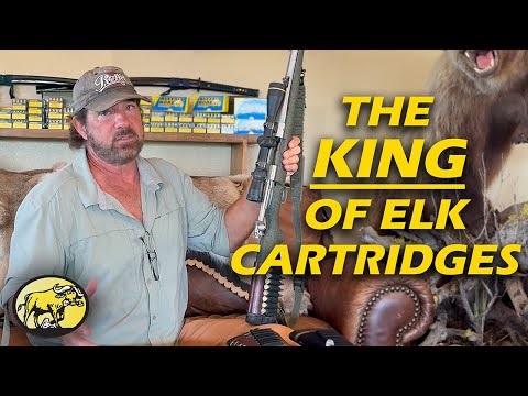 Видео: .338 Win Mag против остальных: разбор винтовки Elk