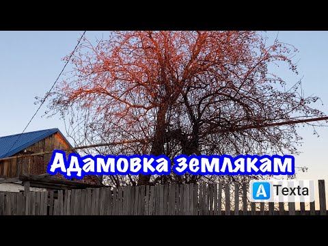 Видео: Адамовка. .Для Риты по просьбе .И всем кто там жил! ЗЕмлякам.3 ноября 2021 г. Оренбургская обл.