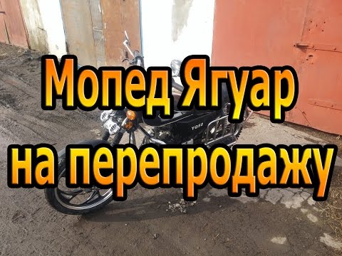 Видео: Мопед Ягуар [Альфа] на перепродажу