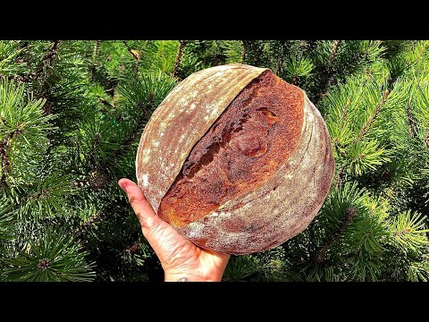 Видео: Гречневый хлеб на закваске. Не безглютеновый!