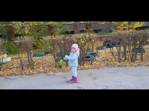 Видео: Цэцэрлэгээ тараад , Алтан намар 10 сар ☀️
