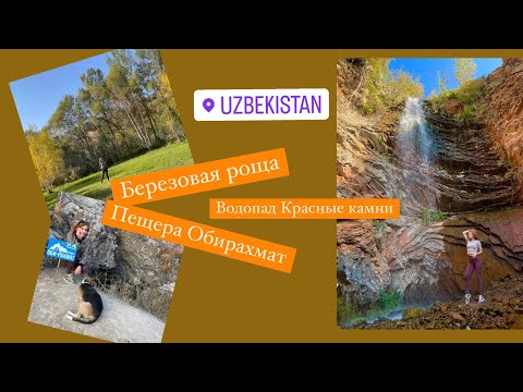 Видео: Водопад в долине Пальтау о котором многие не знают// Собака-пограничник #узбекистан #ташкент