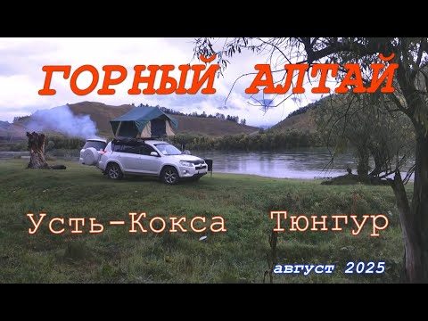 Видео: Горный Алтай Усть-Кокса Тюнгур