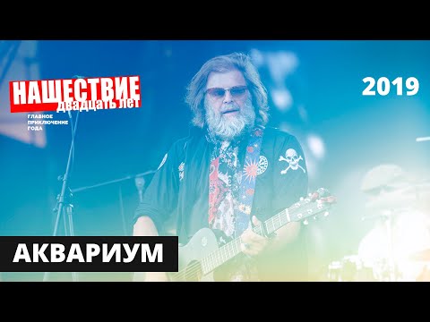 Видео: Аквариум // НАШЕСТВИЕ 2019 // Полное выступление