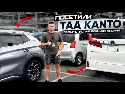 Видео: ВСЁ ПРО АУКЦИОН - TAA (Toyota) 🚘🇯🇵 ПОКАЗЫВАЕМ ИЗНУТРИ