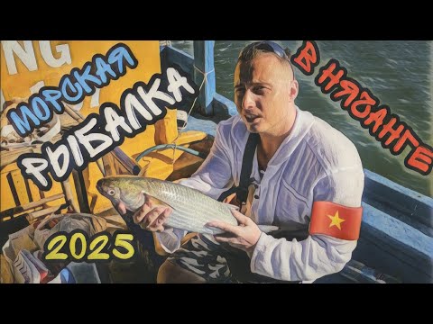 Видео: Нереальный клёв в Нячанге! Морская рыбалка, которая удивит тебя! #fishing #морскаярыбалка #рыбалка