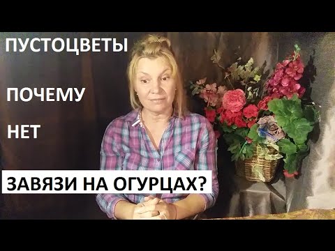 Видео: Пустоцветы на огурцах. Почему огурцы не завязываются.