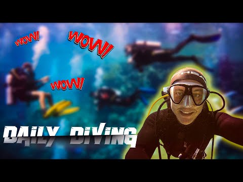 Видео: Подводная ПЕЩЕРА! Что брать на DAILY DIVING? Рыба ФУГУ! Невероятно круто!!! Часть 1