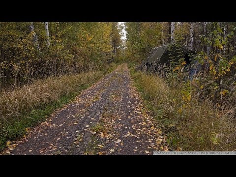 Видео: Пошла я как то по грибы...