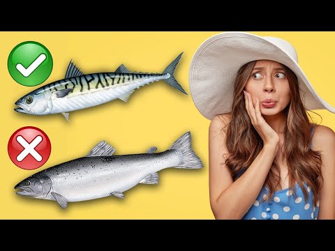 Видео: Опасная и полезная рыба для здоровья: мнение эксперта