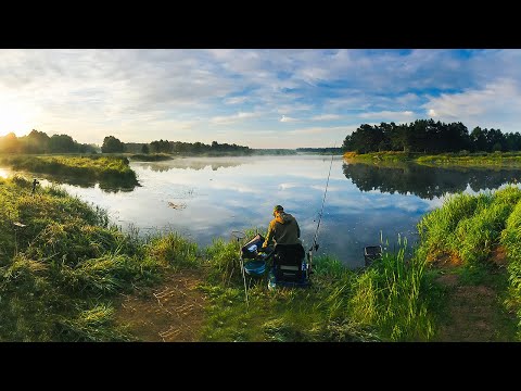 Видео: ТАЙНЫ НЕМАНСКОЙ ЯМЫ. Ловля на фидер. Патерностер. Серия 24.