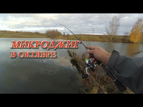 Видео: ОКУНИ! ОТКУДА вы здесь ВЗЯЛИСЬ?! ОСЕННИЙ МИКРОДЖИГ. ОКТЯБРЬ.