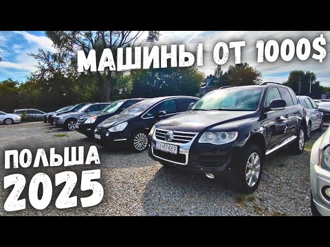 Видео: ВЫПУСК №1: АВТОПЛОЩАДКА BP Premium Cars ЦЕНЫ ОТ 1000$ ПОЛЬША 2025 | Вроцлав | MILLIONCAR 2025