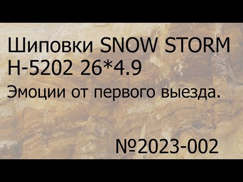 Видео: Chaoyang SNOW STORM H-5202 . Первый выезд на шиповке