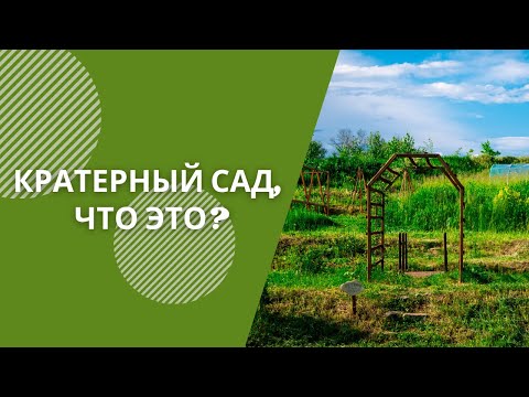 Видео: Кратерный Сад по Зеппу Хольцеру на участке
