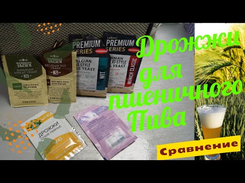 Видео: Дрожжи для ПШЕНИЧНОГО ПИВА! Сравнение, замер плотности, дегустация.