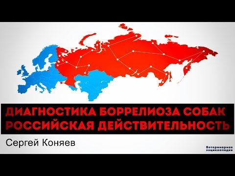 Видео: Диагностика Боррелиоза у собак