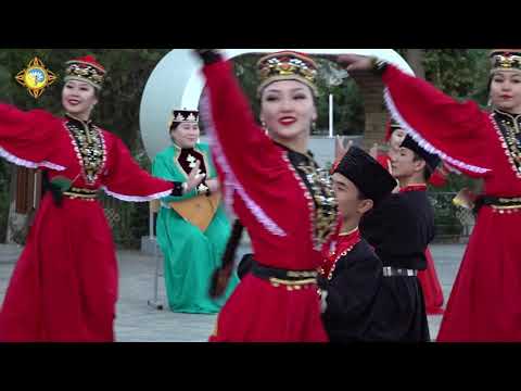 Видео: Sharka-Barka Hello MONGOLIA (Шарка-Барка из Калмыкии с любовью)