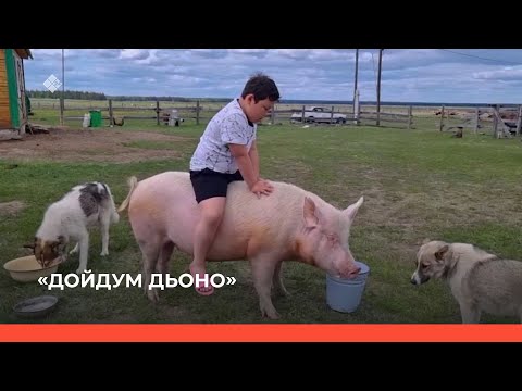 Видео: «Дойдум дьоно» биэриигэ: Сунтаар улууһун «Таас» сайылыга (28.06.23)